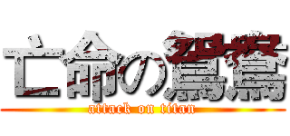 亡命の鴛鴦 (attack on titan)