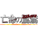 亡命の鴛鴦 (attack on titan)