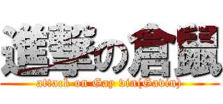 進撃の倉鼠 (attack on Gay vin(Gavin))