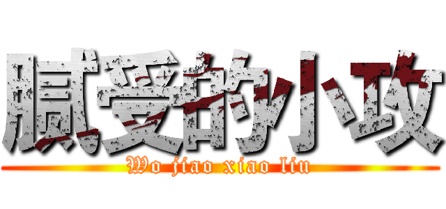 腻受的小攻 (Wo jiao xiao liu)
