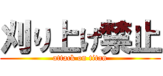 刈り上げ禁止 (attack on titan)