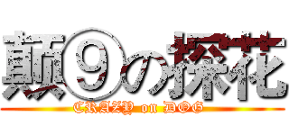 颠⑨の探花 (CRAZY on DOG )