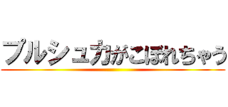 プルシュカがこぼれちゃう ()