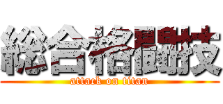 総合格闘技 (attack on titan)