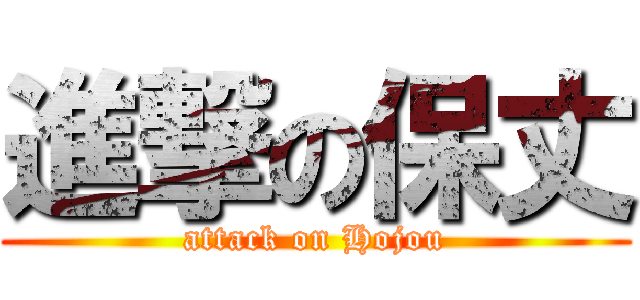 進撃の保丈 (attack on Hojou)