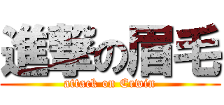 進撃の眉毛 (attack on Erwin)