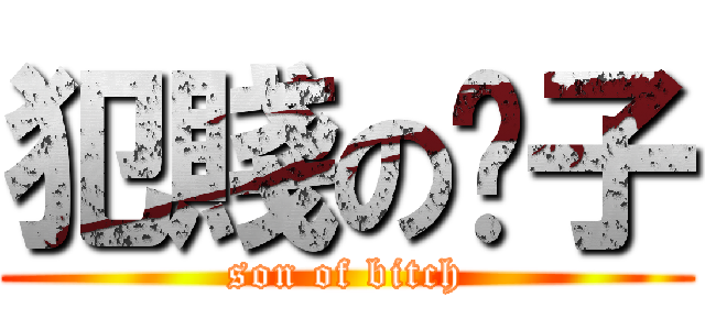 犯賤の婊子 (son of bitch)