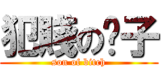 犯賤の婊子 (son of bitch)