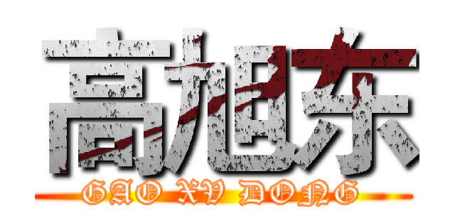 高旭东 (GAO XV DONG)