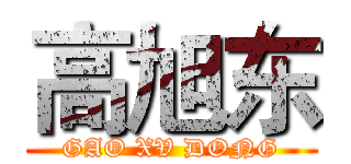 高旭东 (GAO XV DONG)