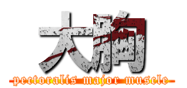  大胸  (pectoralis major muscle)