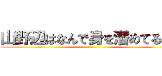 山野辺はなんで身を潜めてるの？ ()