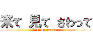 来て 見て さわって (kite mite sawatte)