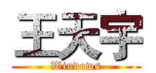 王天宇 (Windows)