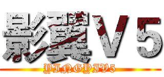影翼Ｖ５ (YINGYIV5)