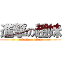 進撃の趙妹 (attack on titan)