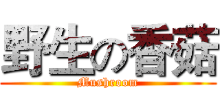 野生の香菇 (Mushroom)