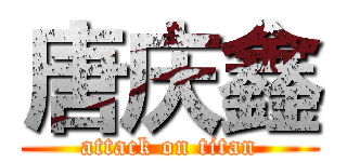 唐庆鑫 (attack on titan)