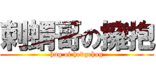 刺蝟哥の擁抱 (hug of hedgehog)