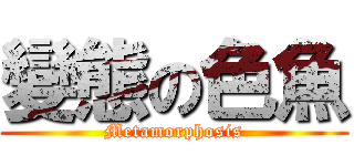 變態の色魚 (Metamorphosis)