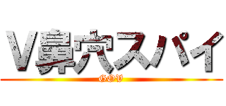 Ｖ鼻穴スパイ (GOV)