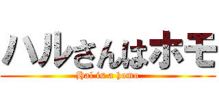 ハルさんはホモ (Hal is a homo)