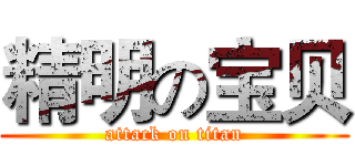 精明の宝贝 (attack on titan)