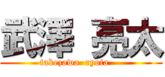 武澤 亮太 ( takezawa  ryota     )