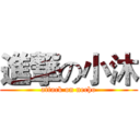 進撃の小沐 (attack on necho)