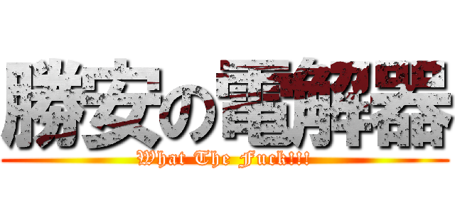 勝安の電解器 (What The Fuck!!!)