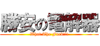勝安の電解器 (What The Fuck!!!)