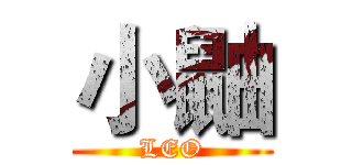 小鼬 (LEO)