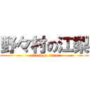 野々村の江梨 (attack on titan)