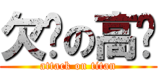 欠婊の高婕 (attack on titan)