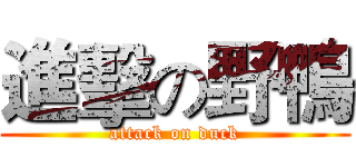 進擊の野鴨 (attack on duck)