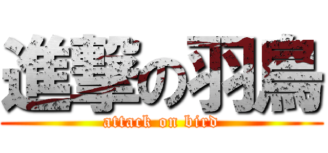 進撃の羽鳥 (attack on bird)