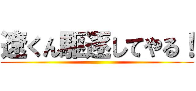 遼くん駆逐してやる！ ()