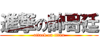 進撃の帥哥廷 (attack on titan)