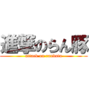 進撃のらん豚 (attack on ranbuta)