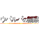 ウパルパの観察 (Seven Axolotls, in Taiwan)