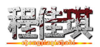 程佳琪 (chengjiaqishabi)