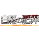 白癡の肥萍 (attack on titan)