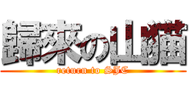 歸來の山猫 (return to SJC)