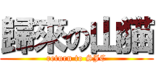 歸來の山猫 (return to SJC)