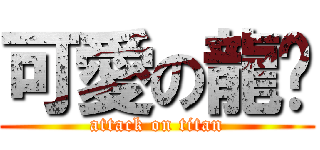 可愛の龍貓 (attack on titan)