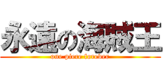 永遠の海賊王 (one piece forever)