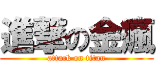 進撃の金瘋 (attack on titan)