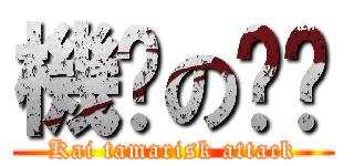 機掰の芷瑄 (Kai tamarisk attack)