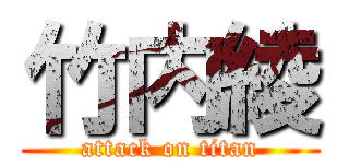 竹内綾 (attack on titan)