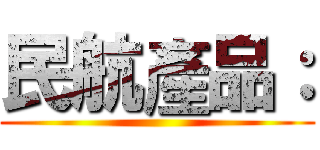 民航產品： ()